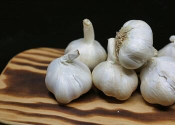 Health benefits of adding garlic to your daily diet for improved immunity, heart health, and overall wellness