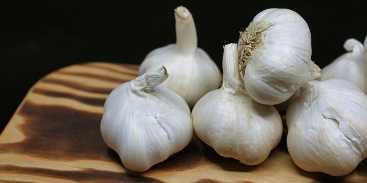10 Reasons to Add Garlic to Your Daily Diet for Better Health 1 Health benefits of adding garlic to your daily diet for improved immunity, heart health, and overall wellness