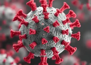 Norovirus: How It Spreads and How to Stay Safe